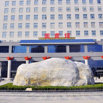 學校圖書館門前的自然景觀石